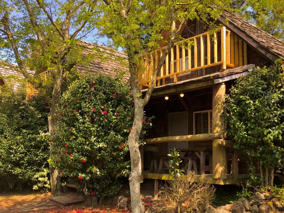Holiday home Log Park Dochidol Ranch Villa Jeju South Korea